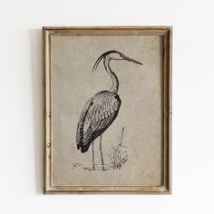 a drawing of a bird is hanging on the wall