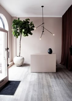 a living room with wooden floors and a plant hanging from the ceiling, along with two large vases