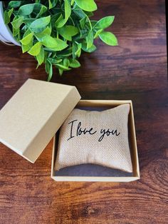 an open box with a pillow inside on a table next to a potted plant