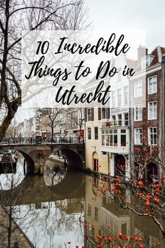 a river with red flowers in the foreground and text overlay that reads 10 incredible things to do in amsterdam