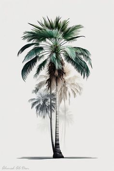 a palm tree with green leaves on a white and gray background, in the foreground