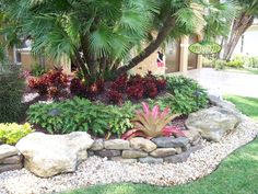 a garden with rocks and plants in it