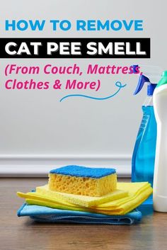 how to remove cat pee smell from couch, mattresses and more with cleaning products