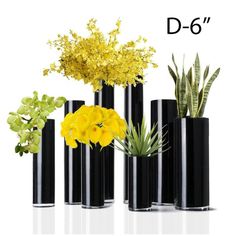 four black vases with flowers and plants in them on a white background, one is labeled d - 6