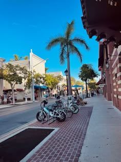 several bicycles are parked on the sidewalk near buildings and palm trees in front of them