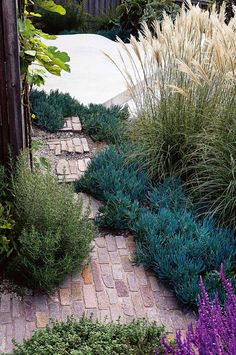 a garden with purple flowers and green plants in the background, along with a brick walkway