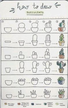 a hand drawn poster with plants on it and the words how to draw succulents