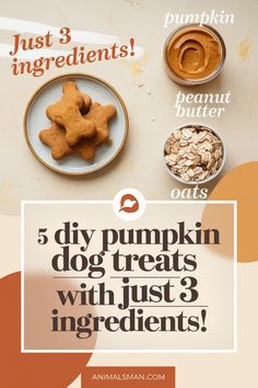 a poster with the words 5 diy pumpkin dog treats with just 3 ingredients on it