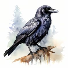 a black bird sitting on top of a tree branch in front of watercolor paint