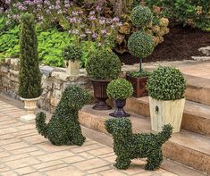 three potted plants sitting on the steps in front of some bushes and flowers outside