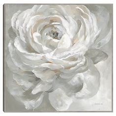 a painting of a white rose on a gray background