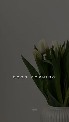 white tulips are in a vase with the words good morning on it's side