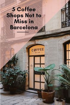 coffee shops not to miss in barcelona