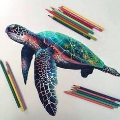 a drawing of a sea turtle surrounded by colored pencils and crayon pens