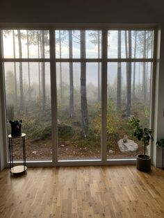 a living room with wood floors and large windows looking out onto the woods outside on a foggy day