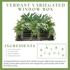 an advertisement for a window box with plants in it and the words,'verdant variegated window box '