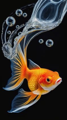 a goldfish with bubbles in the water