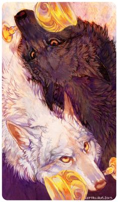 two black and white wolfs are facing each other