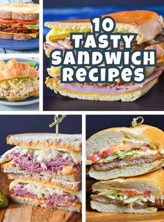 several different sandwiches with the words 10 tasty sandwich recipes on top and below them