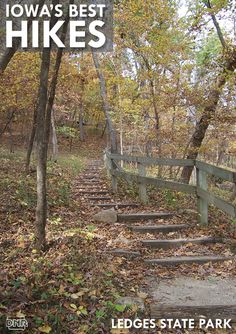 there are many steps going up the hill in the woods with leaves on the ground