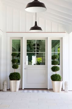 a white door with two potted plants in front of it