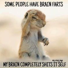 Chronic Illness Humor, Illness Humor, A Meme, Funny Cartoon Quotes, Cartoon Quotes, Sarcastic Quotes Funny, Twisted Humor, Funny Animal Memes, My Brain