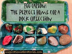 an egg carton with rocks in it and the words egg carton the perfect home for a rock collector