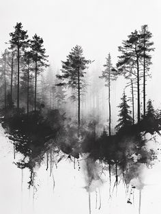 a black and white photo of trees in the woods with fog coming from it's tops