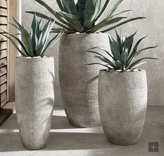 three pots with plants in them sitting on a table