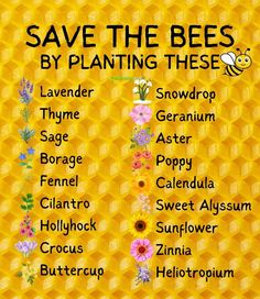 Flowers To Plant, Soil Types, Bee Friendly Garden, Best Flowers, Bee Friendly, Moon Garden, Grey Gardens