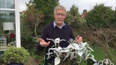 an older man standing next to a potted plant with white flowers and green leaves