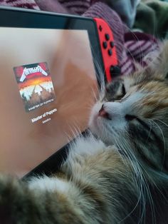 a cat laying on its back next to a nintendo wii game controller with an image of a mountain