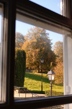 a lamp post seen through a window with trees in the back ground and grass on the other side