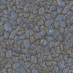 an animal is standing in the middle of a cobblestone road with grass growing on it