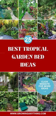 the 25 best tropical garden bed ideas