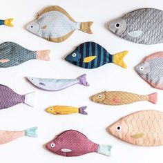 a group of different colored fish on a white surface