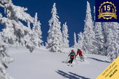 two people on skis going down a snow covered slope with trees in the background