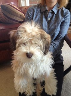 a woman sitting on the floor with a dog in her lap and smiling at the camera