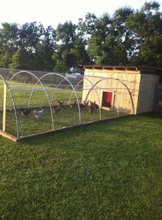 several chickens in a chicken coop on the grass