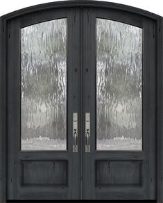 the double doors are black and have glass panels on each side, along with metal handles