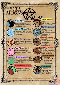 What Do Skulls Symbolize, Witchy Calander 2023, Which Astetic, Spirit Element Witchcraft, How To Start A Grimoire, Witch Sigils Symbols, Magic Tattoo Witches, Paganism For Beginners, Witch Activities