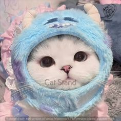 a white cat wearing a blue and purple costume