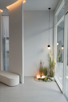 a white room with plants and lights in it