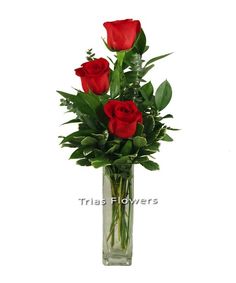 three red roses in a clear vase with greenery on the bottom and green leaves