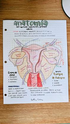 the anatomy of an animal on a piece of paper