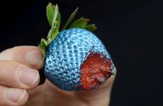 a hand holding a small blue and red strawberry