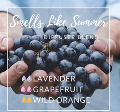 Smells Like Summer Summer Diffuser Blends, Sleeping Better, Doterra Diffuser Blends