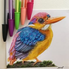 a colorful bird sitting on top of a piece of paper next to markers and pens