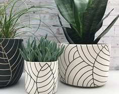 three potted plants sitting next to each other on a white counter top in front of a brick wall