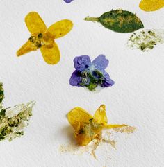 several different colored flowers on white paper with paint splatters all over them and the petals are yellow, purple, and green